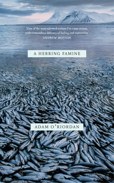 Cover image for A Herring Famine UK edition
