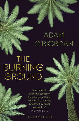Cover image for The Burning Ground UK edition